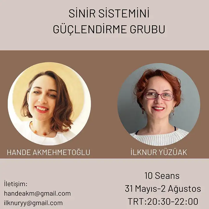 Sinir Sistemi Güçlendirme Grup Çalışması